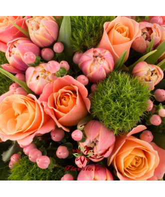 Roses & Tulips