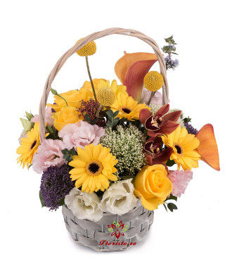 Cosuletul cel poznas