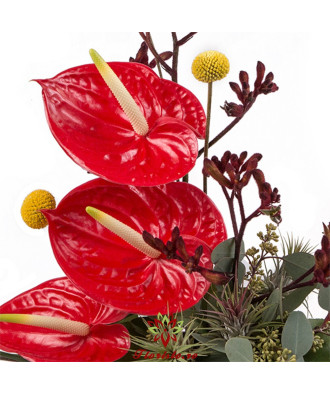 Anthurium in vas ceramic
