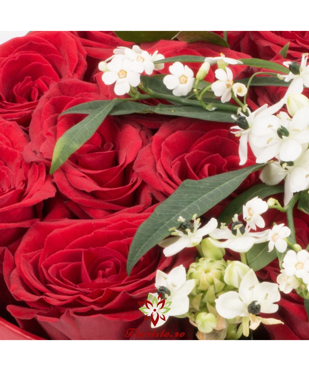 Red & white