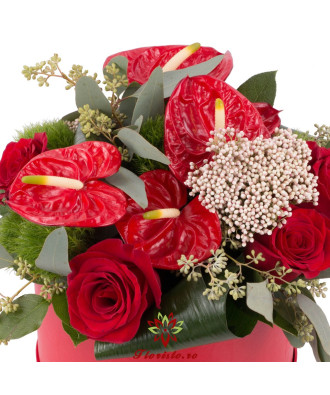 Cutie Trandafiri & Anthurium