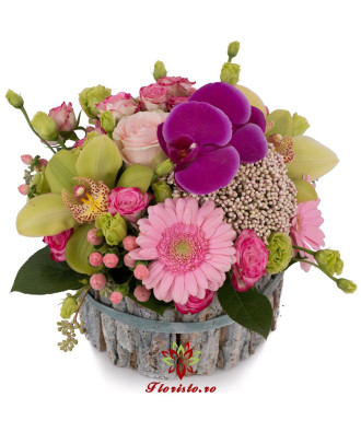 Cosulet Roz si Verde