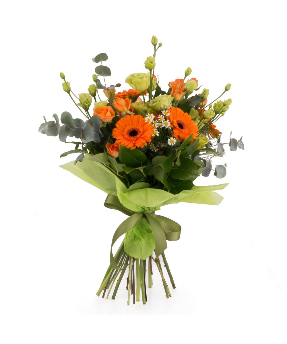 Green & Orange