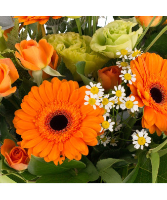 Green & Orange