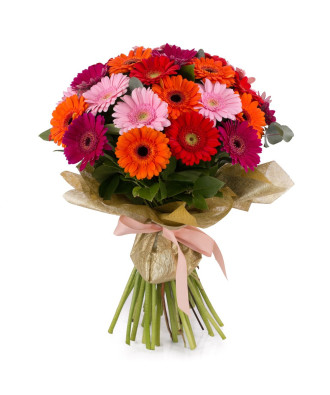 Gerbera Mix