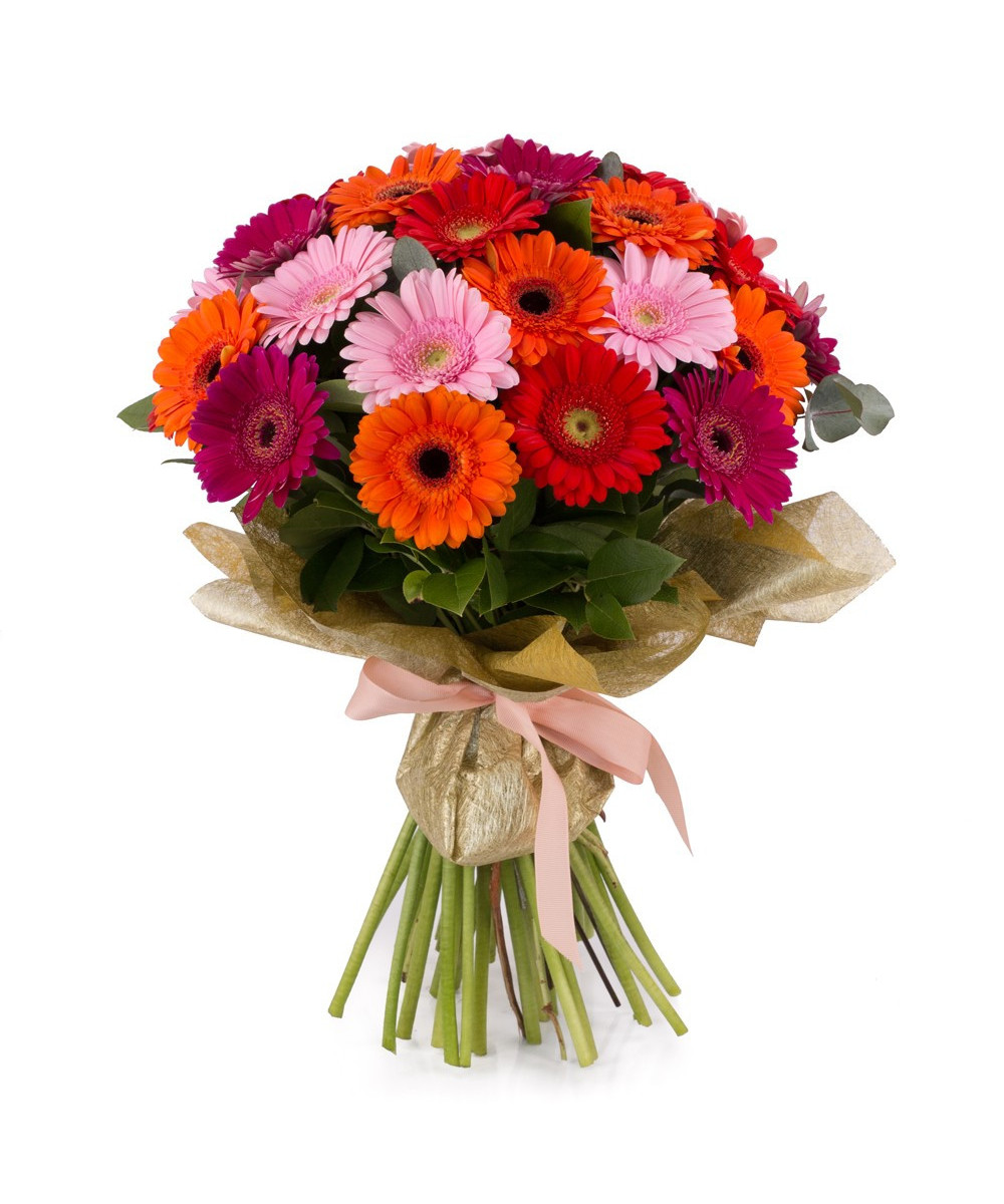 Gerbera Mix