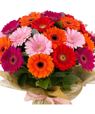 Gerbera Mix