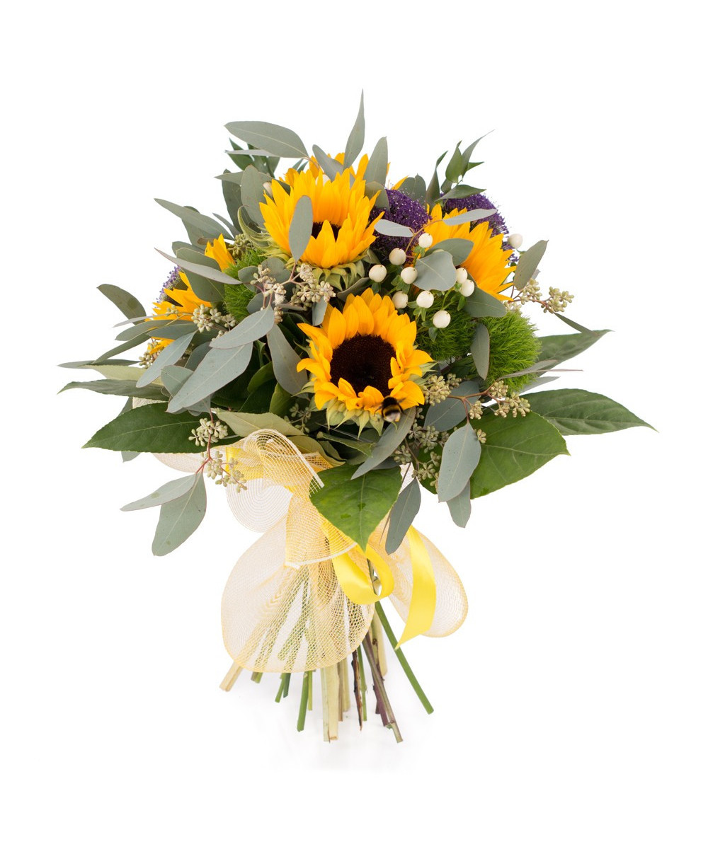 Sun Flower