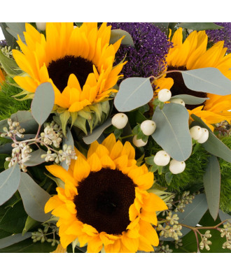 Sun Flower