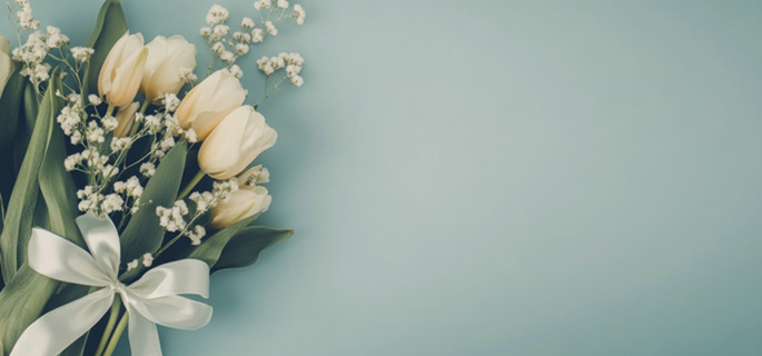 cms-banner2