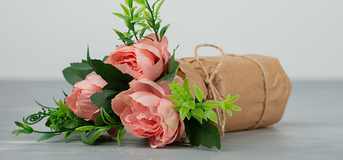 cms-banner3